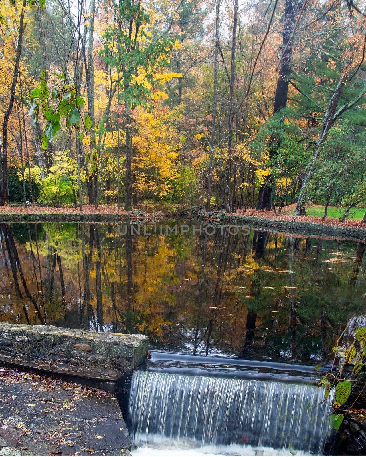 Fall colors have arrived along a pond near Weston, Connecticut