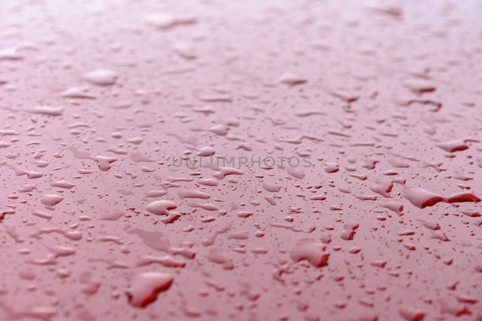 rain drops on red car hood 1