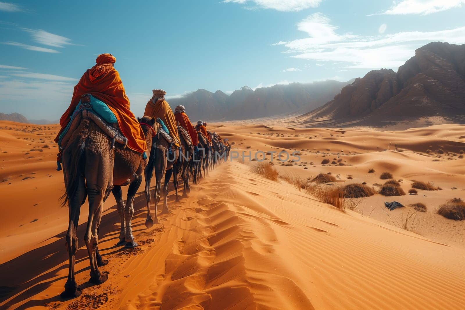 Pack camels trekking across desert landscape under cloudy sky by richwolf