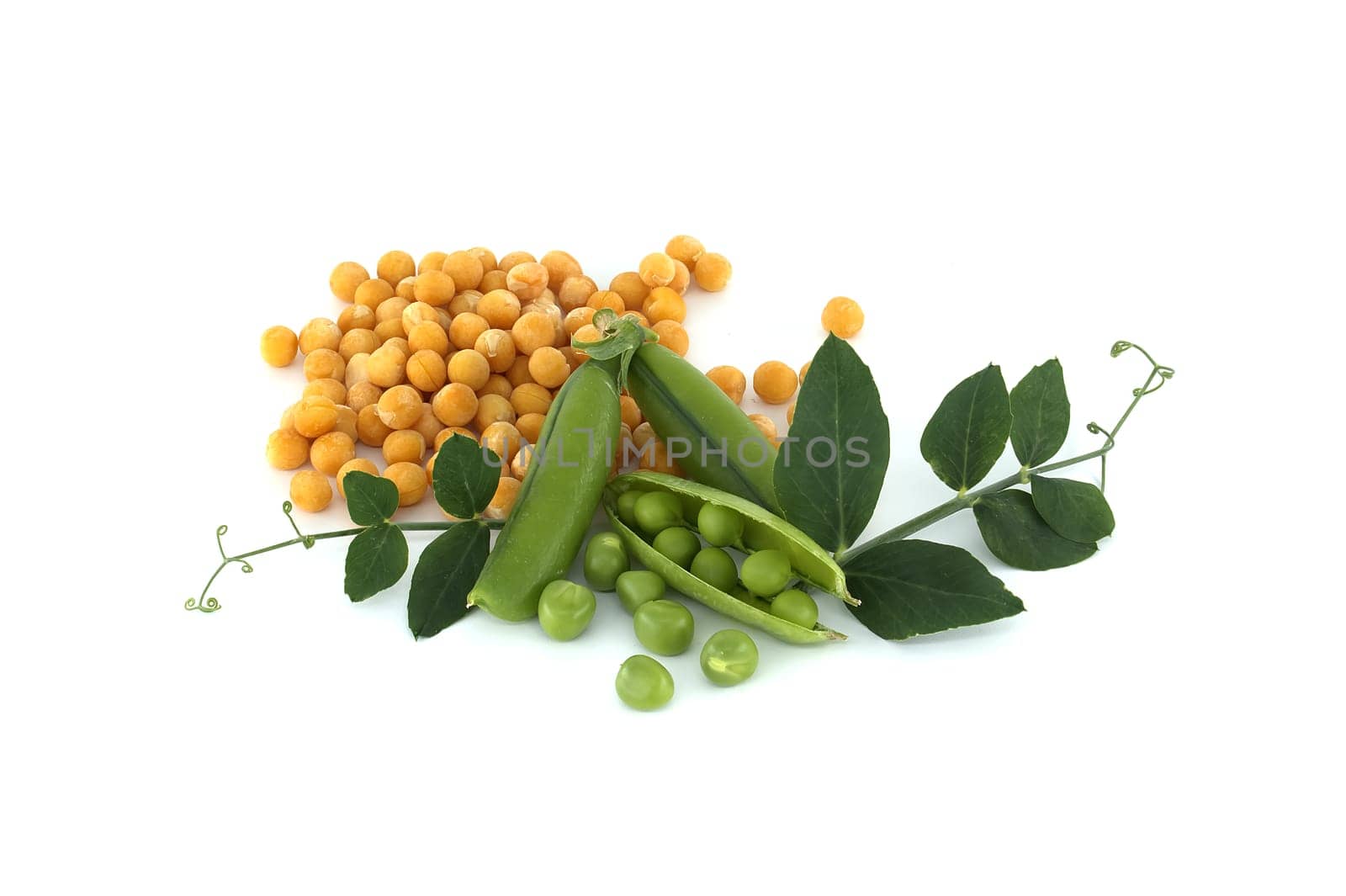 Yellow dried peas surrounded by a green leaf, fresh green peas and pea pods isolated on white background, healthy, plant based diet