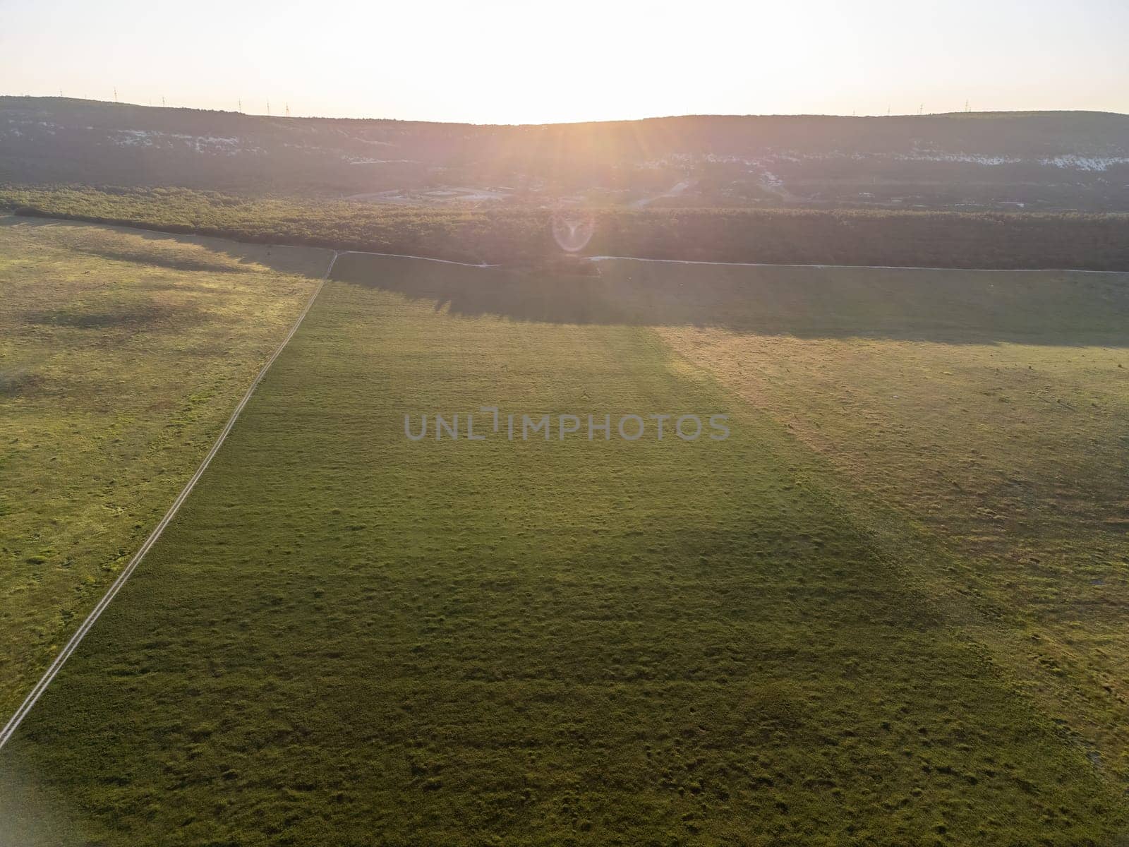 Green wheat field in countryside, close up. Field of wheat blowing in the wind at sunny spring day. Young and green Spikelets. Ears of barley crop in nature. Agronomy, industry and food production