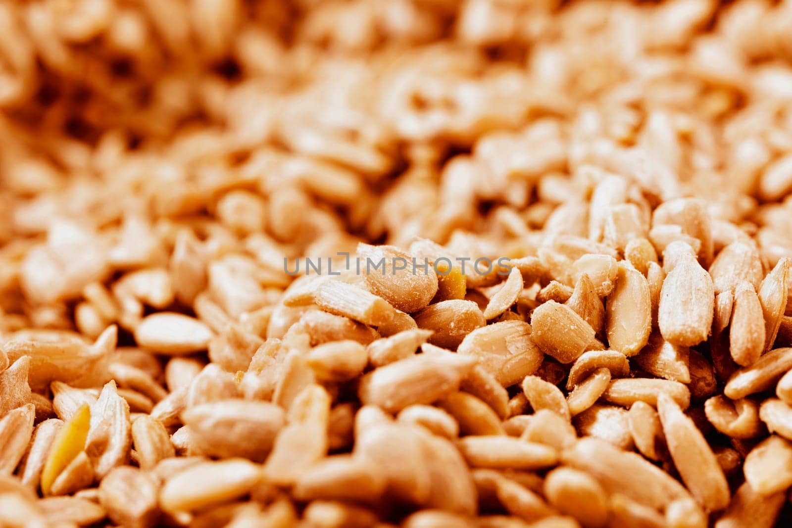 Bunch of  peeled sunflower seeds full frame  ,snack food or ingredients in various recipes