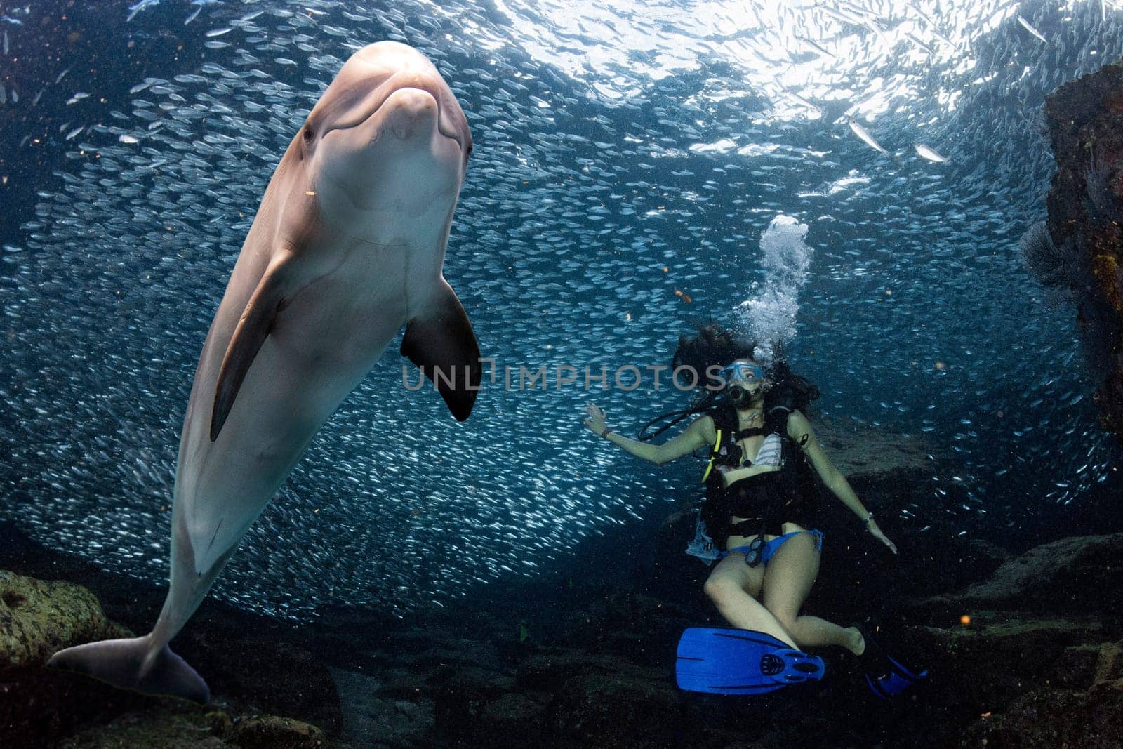 Beaytiful Latina Diver Inside a school of fish by AndreaIzzotti