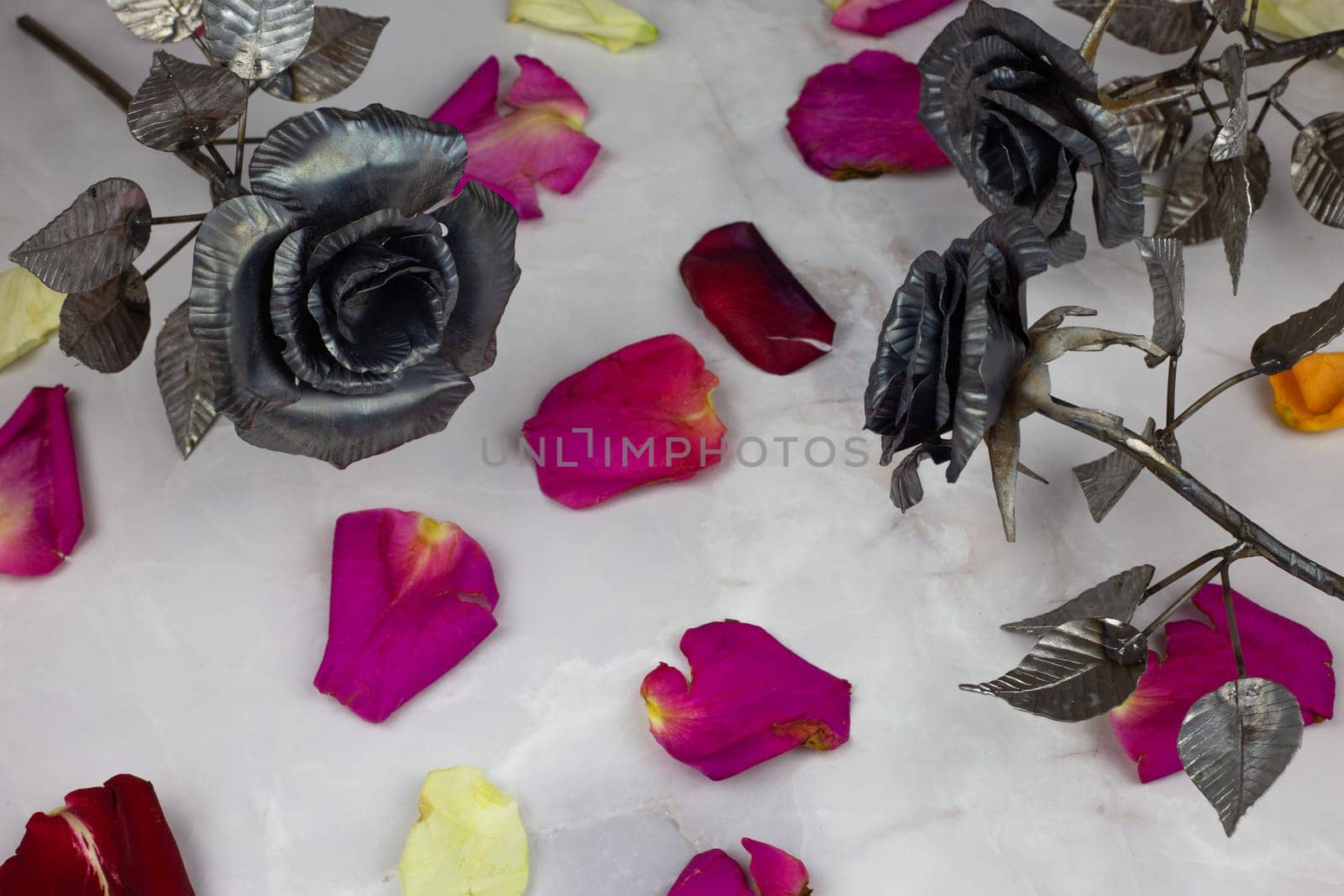 Metal rose buds in scattered leaves of living roses on white background