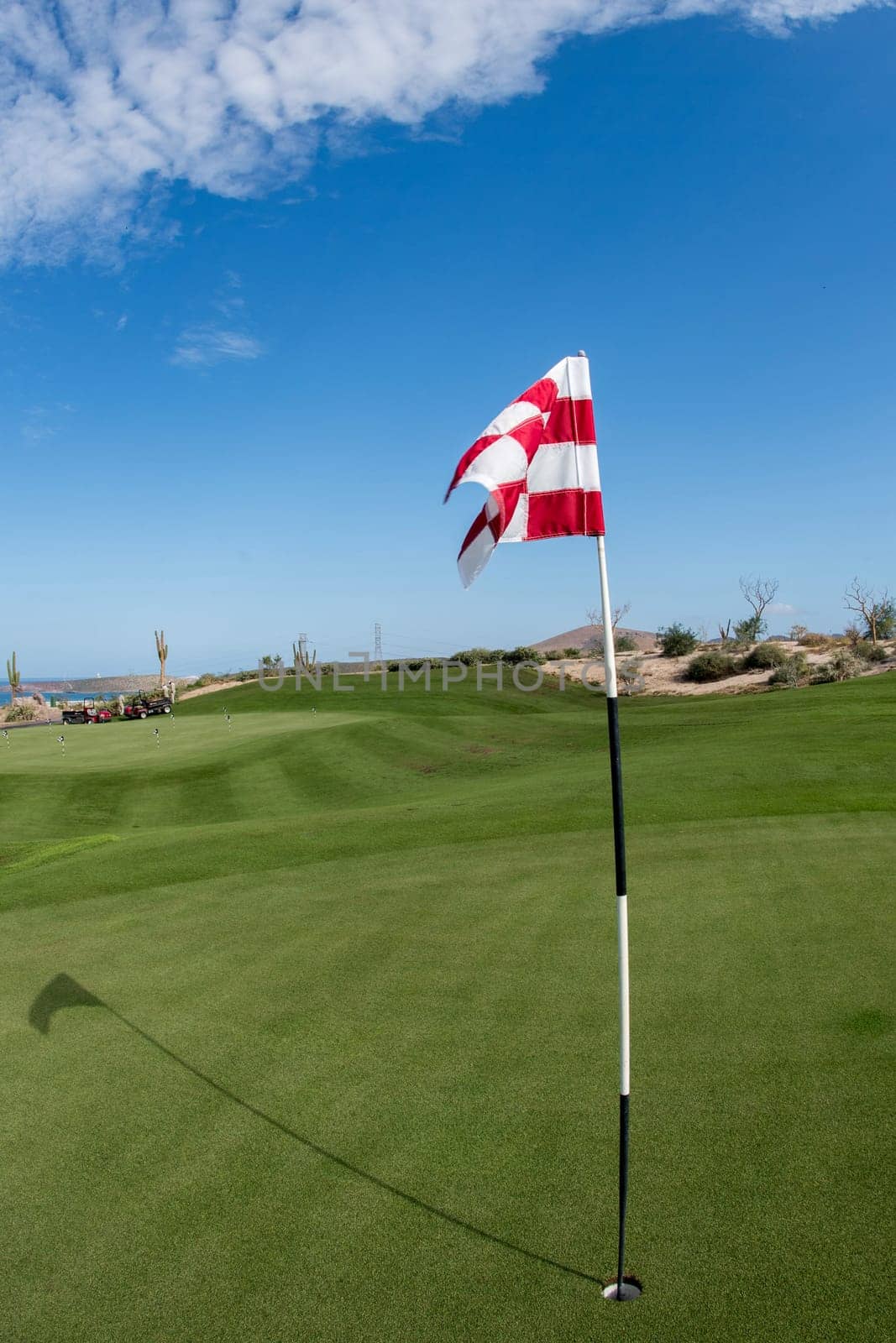 desert golf course green in Baja California