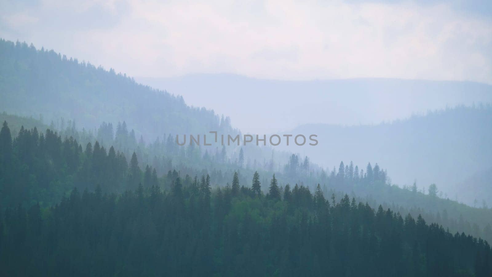 Mountains under mist in the morning Amazing nature scenery. Tourism and travel concept image, Fresh and relax type nature image by igor010