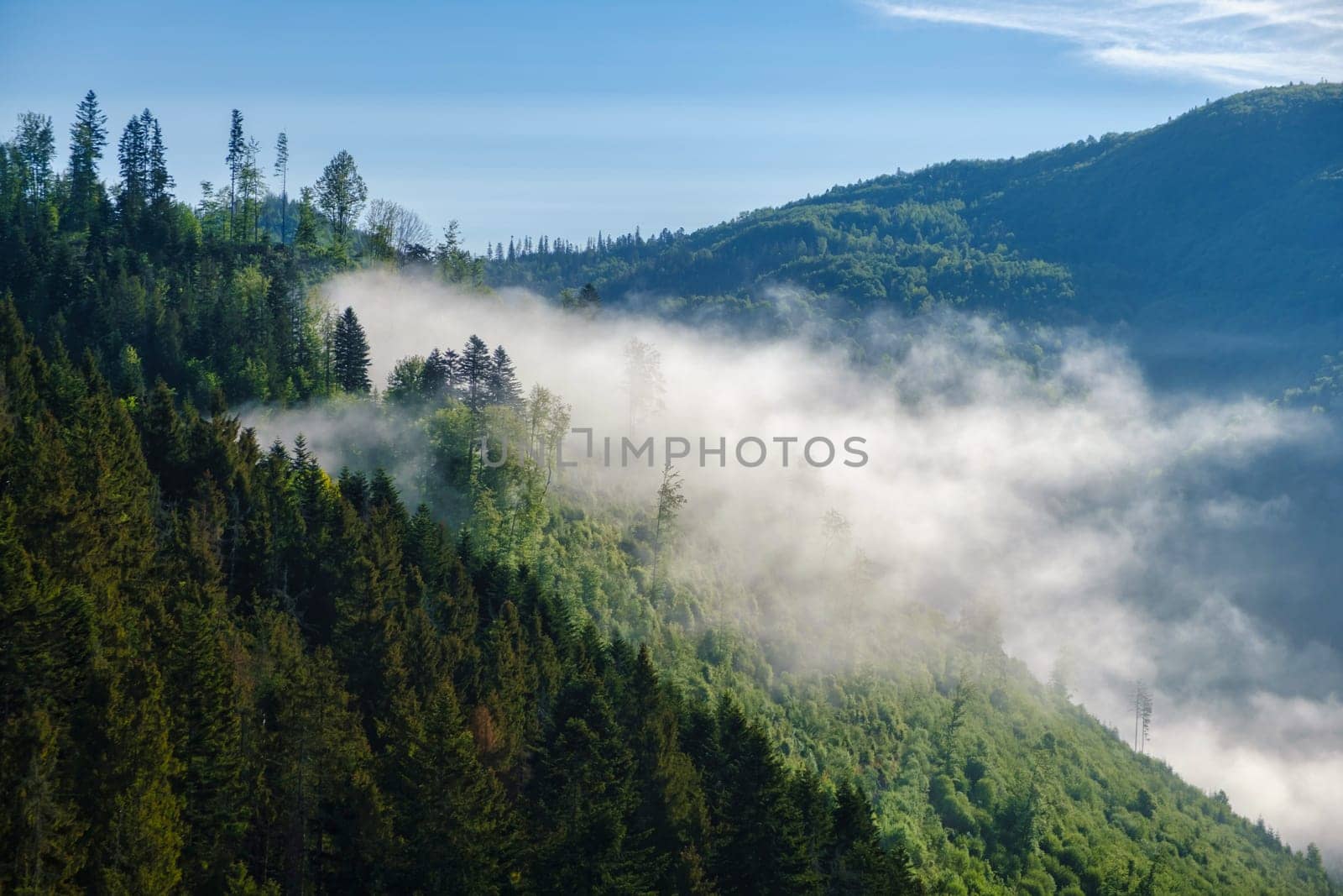 Fog over the mountains. Great view of the foggy valley National Park. Europe. Dramatic scene download by igor010