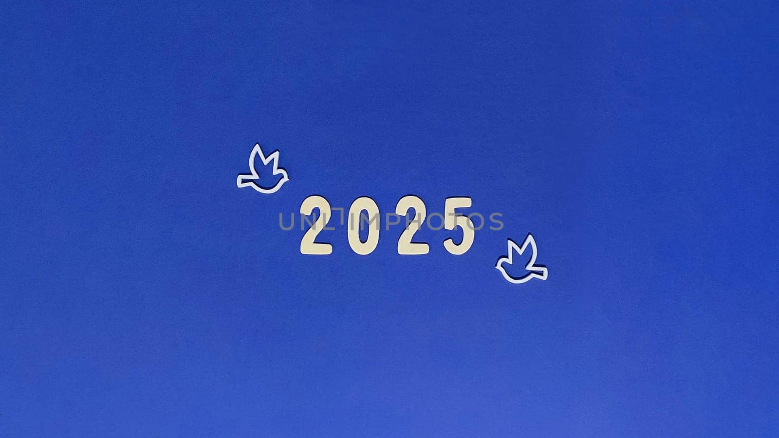 A blue rectangle with the number 2025, three birds flying in the sky, on an electric blue background. The design is modern and eyecatching, perfect for a brand logo