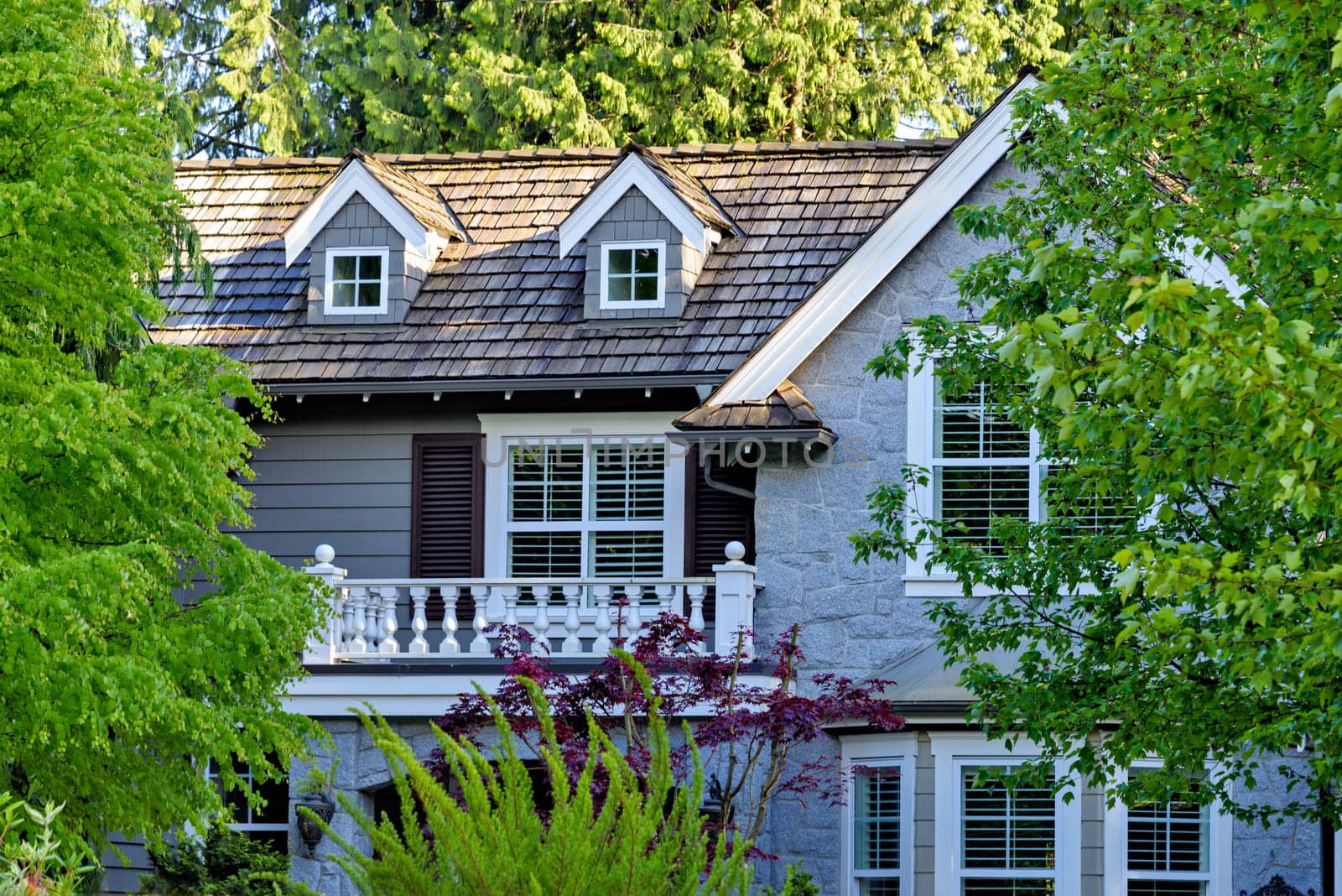 Top of frontside luxury residential house in shadow of the trees.