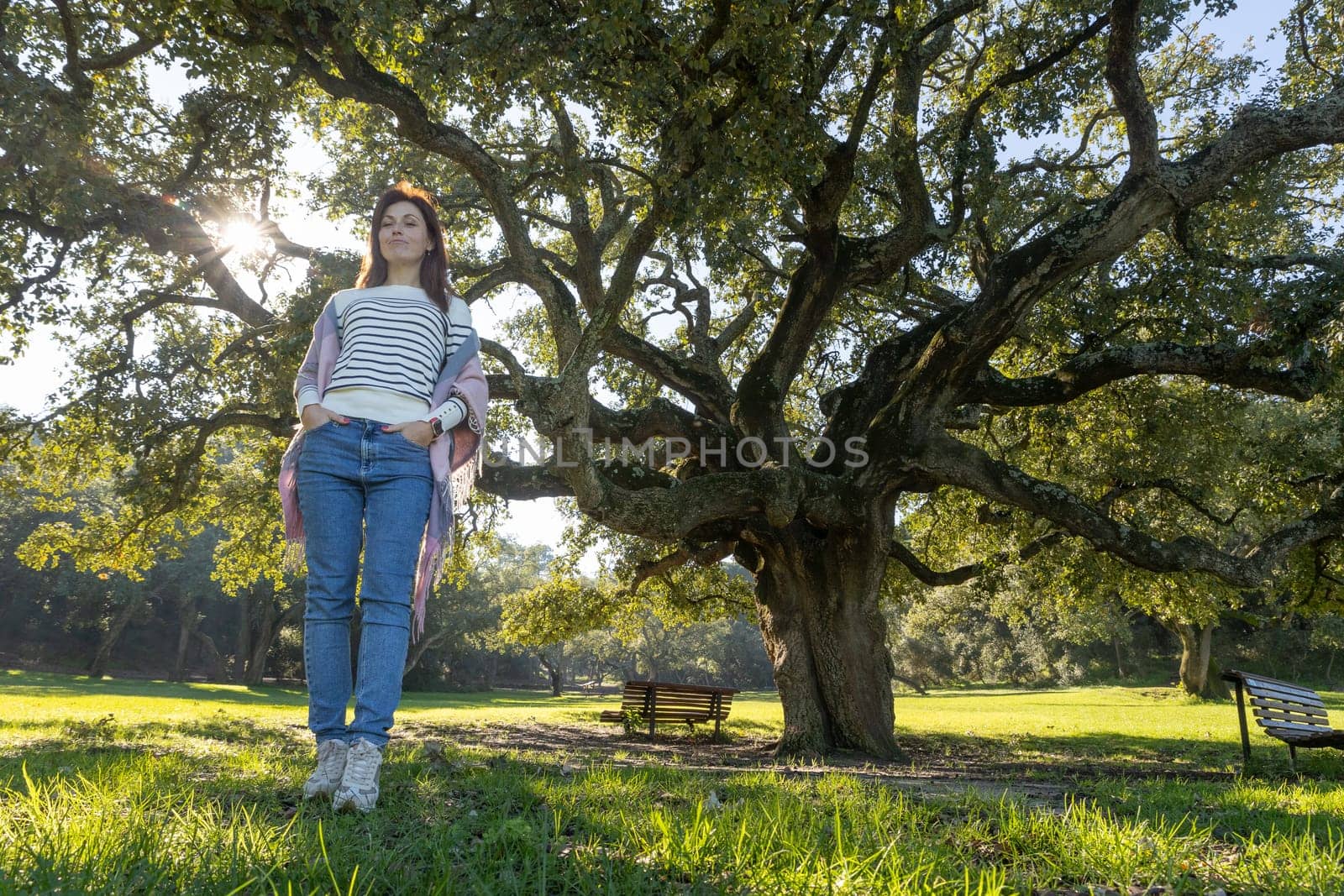A woman stands in front of a large tree, wearing a white shirt and blue jeans. The scene is peaceful and serene, with the woman looking up at the tree and the sun shining through the leaves