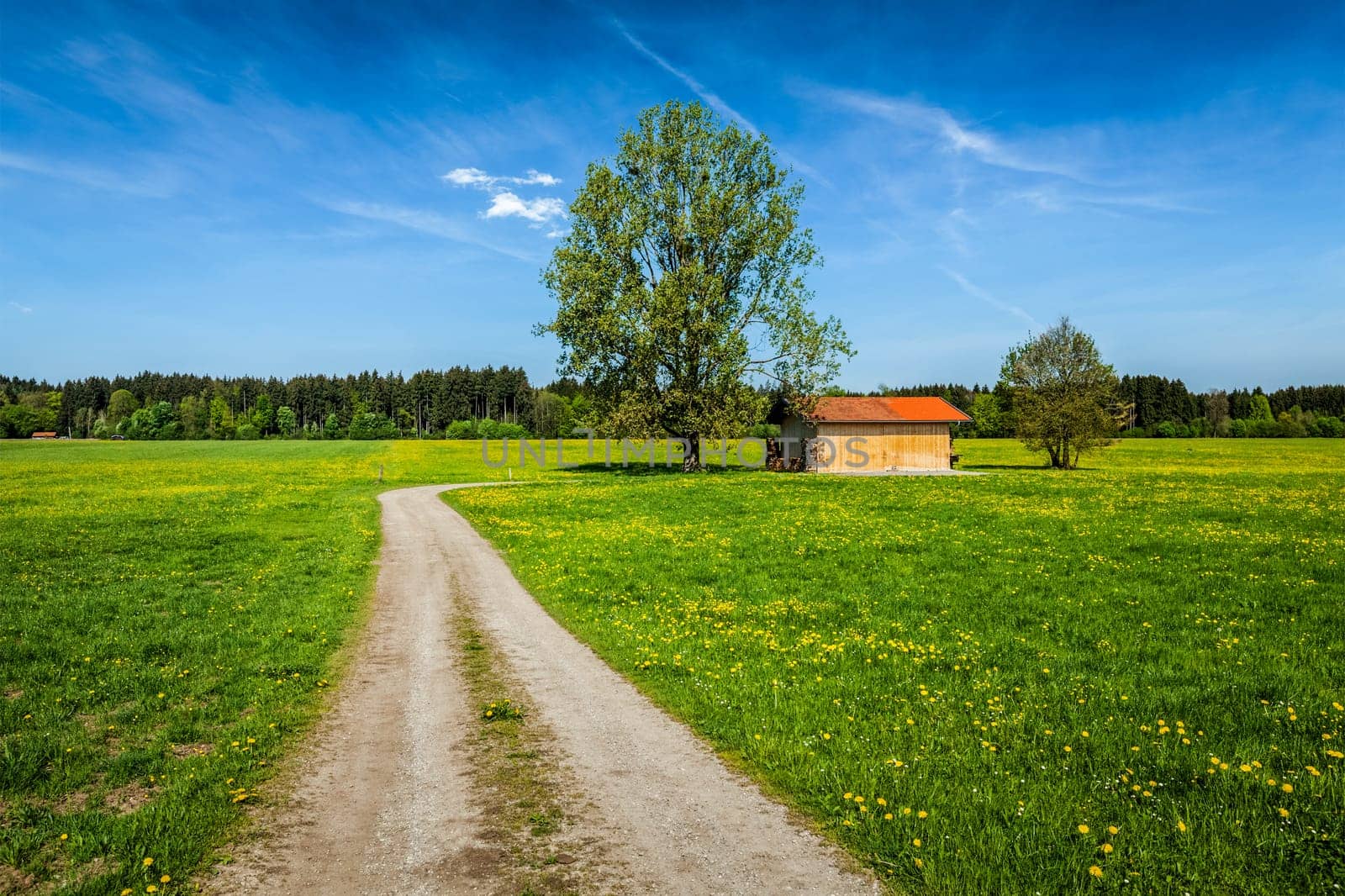 Rural road in summer meadow with wooden shed. Bavaria, Germany