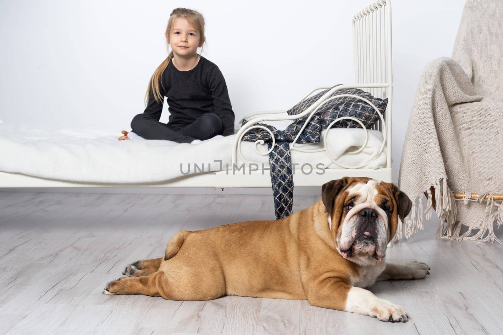A girl is sitting on the bed and an english bulldog on the floor. There is also a dog in the child's room.