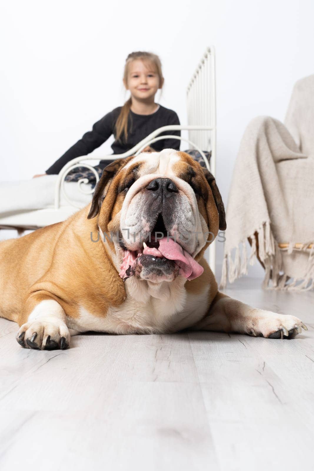 A girl is sitting on the bed and an english bulldog on the floor. There is also a dog in the child's room.