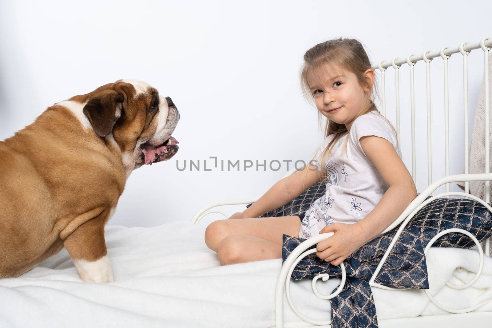 The girl is playing with her dog friend on her own bed at home. A breed with a brown coat with white patches.