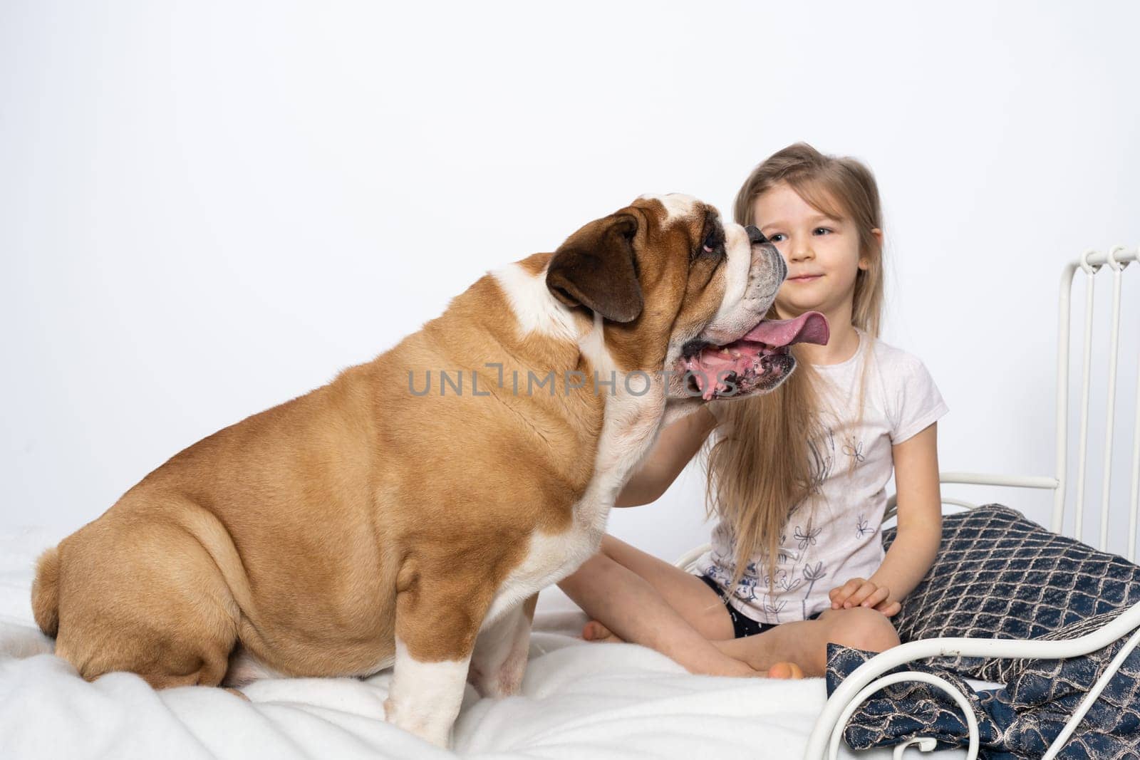 Two friends, a girl and a dog, are sitting together on the bed. The girl is petting the dog. A breed with a brown coat with white patches.