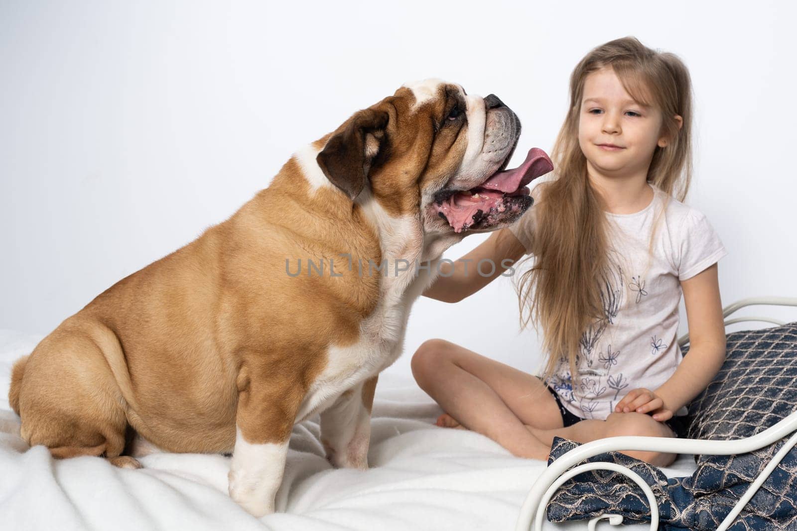Two friends, a girl and a dog, are sitting together on the bed. The girl is petting the dog. A breed with a brown coat with white patches.