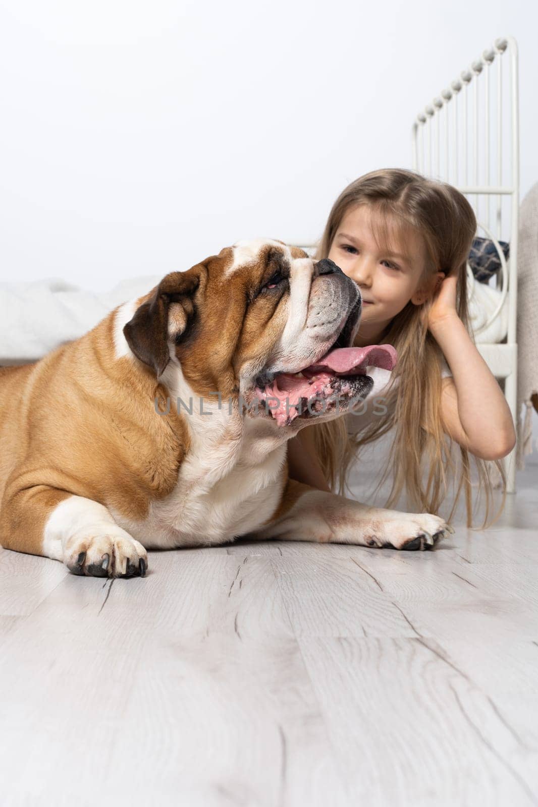 An old and fat dog and a tiny and young girl sit on the floor by the bed in the bedroom. A breed with a brown coat with white patches.