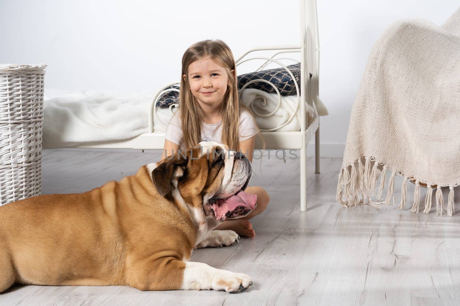 An old and fat dog and a tiny and young girl sit on the floor by the bed in the bedroom. A breed with a brown coat with white patches.