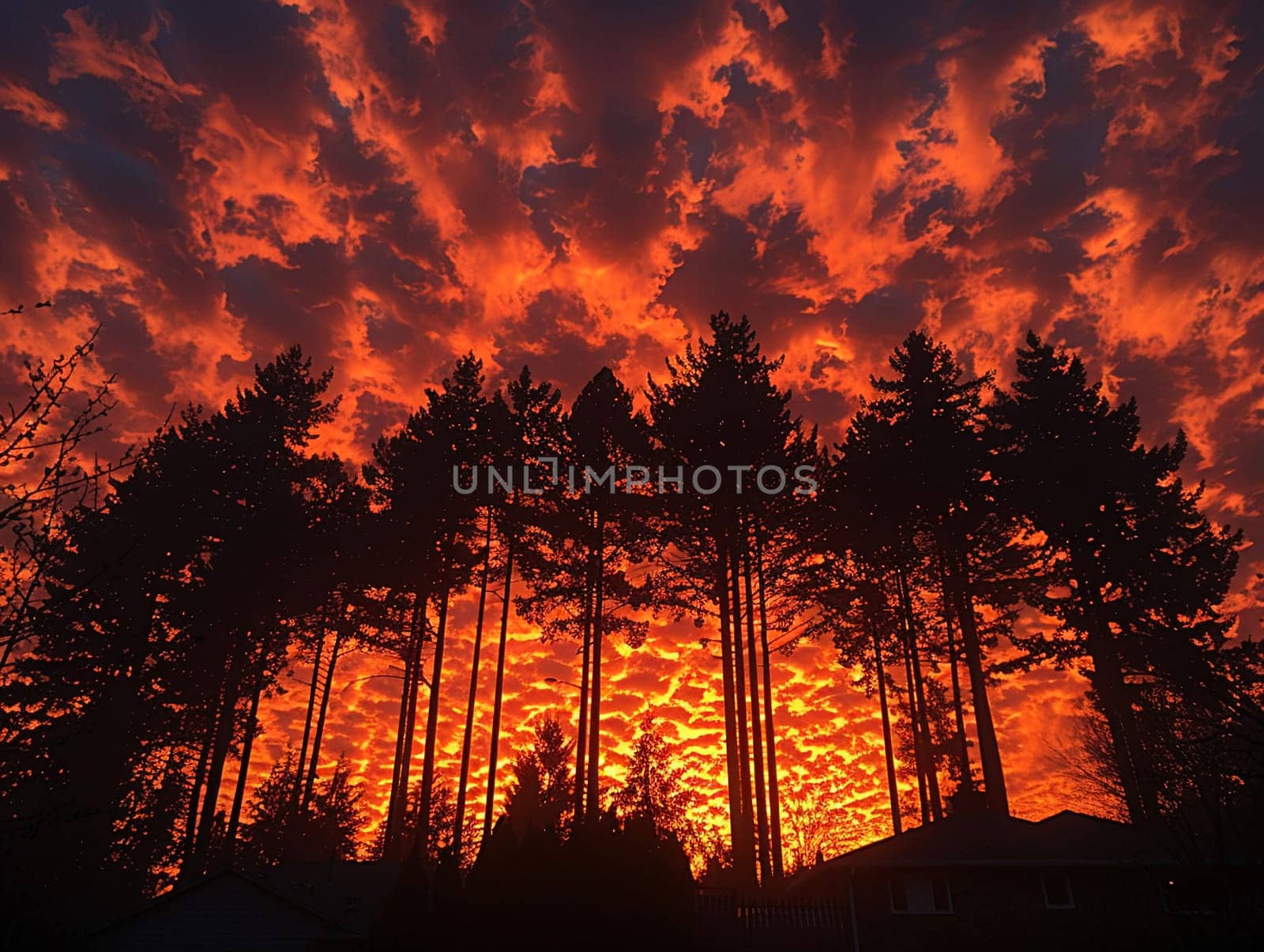 The fiery glow of a sunset behind a silhouette of trees, capturing the end of a day.