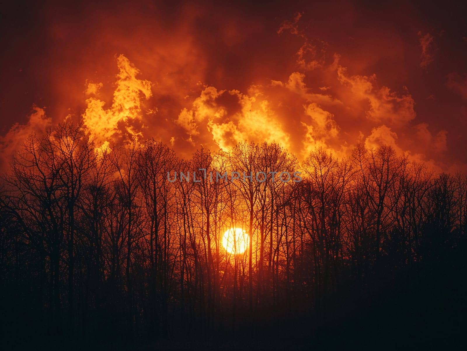 The fiery glow of a sunset behind a silhouette of trees, capturing the end of a day.