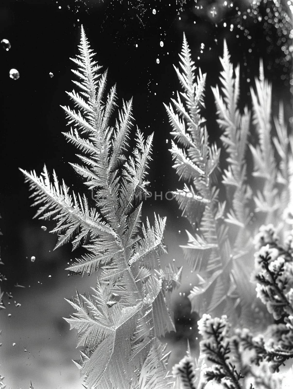 Close-up of intricate ice patterns on a window, illustrating winter's artistry.