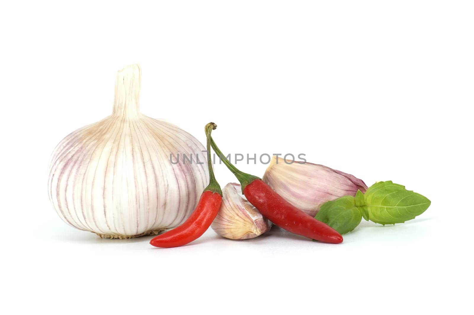 Common culinary ingredients herbs and spices on white by NetPix
