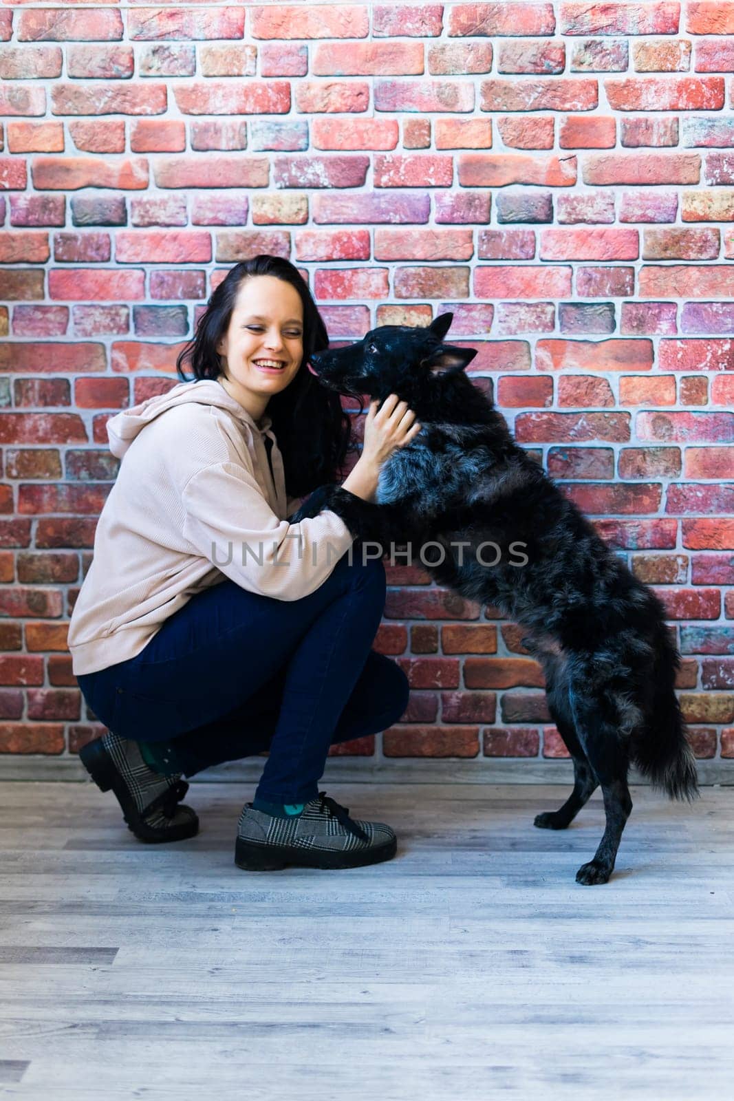 Happy brunette lady in casual wear hugging mudi pet dog, studio background. by Zelenin