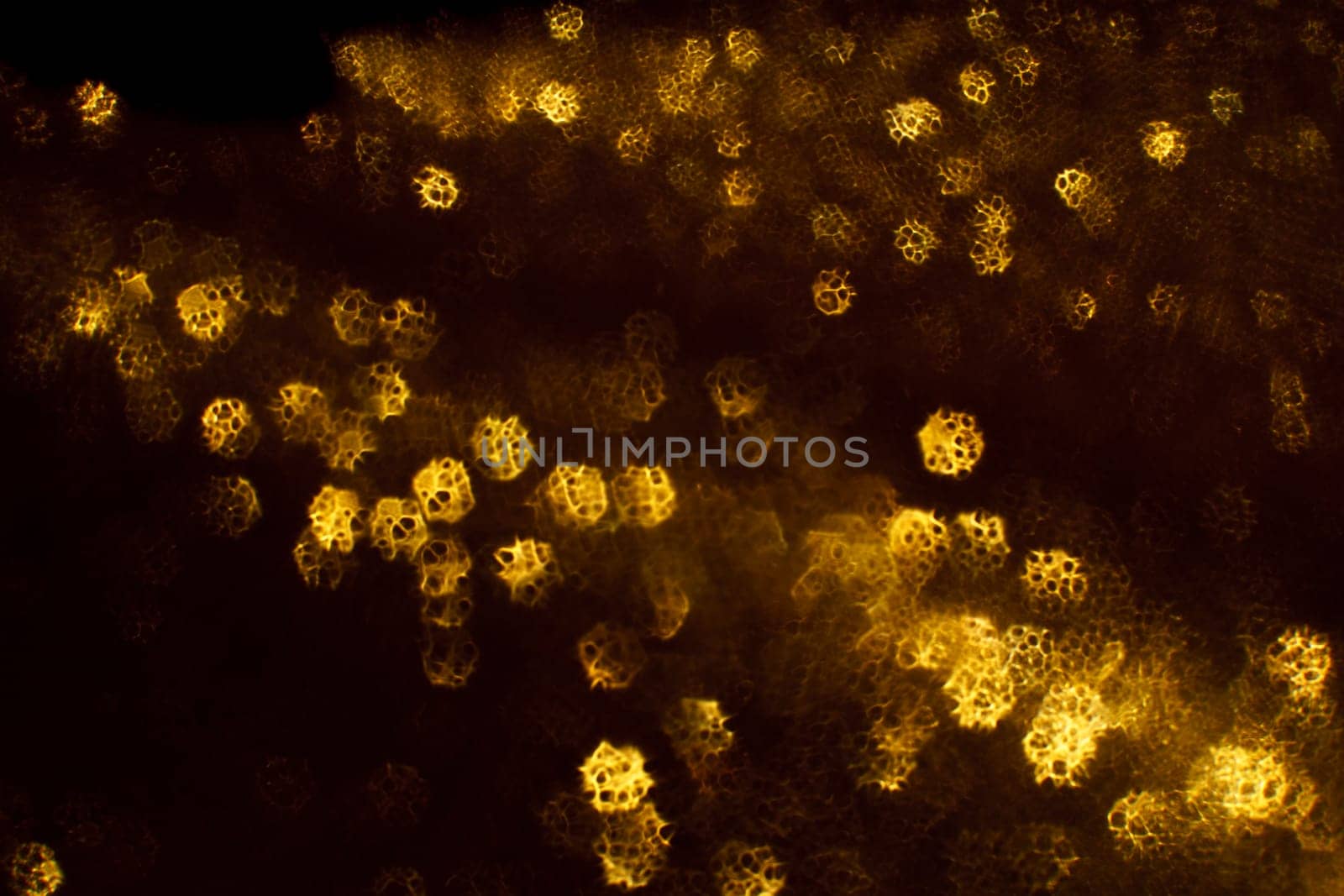 Christmas background. Festive abstract background with bokeh defocused lights and stars.