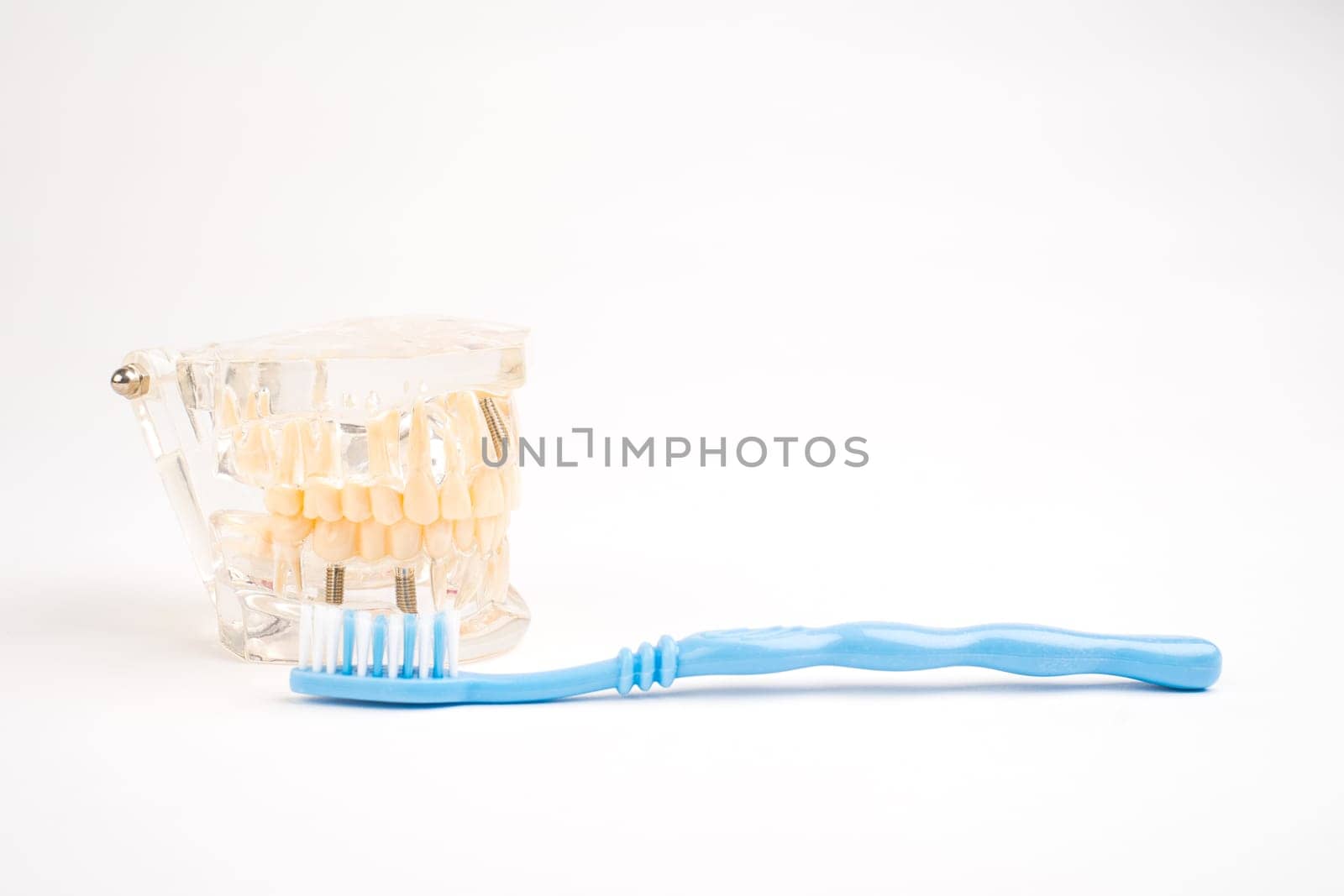 Dental teeth mockup and blue toothbrush on white background.