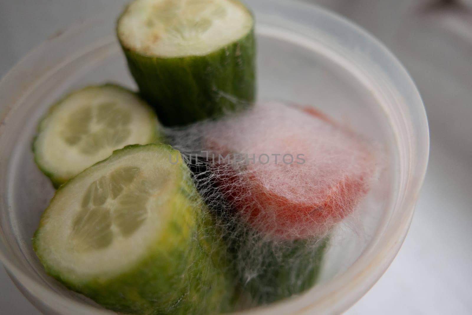 mold cucumbers and tomatoes in a plastic container.