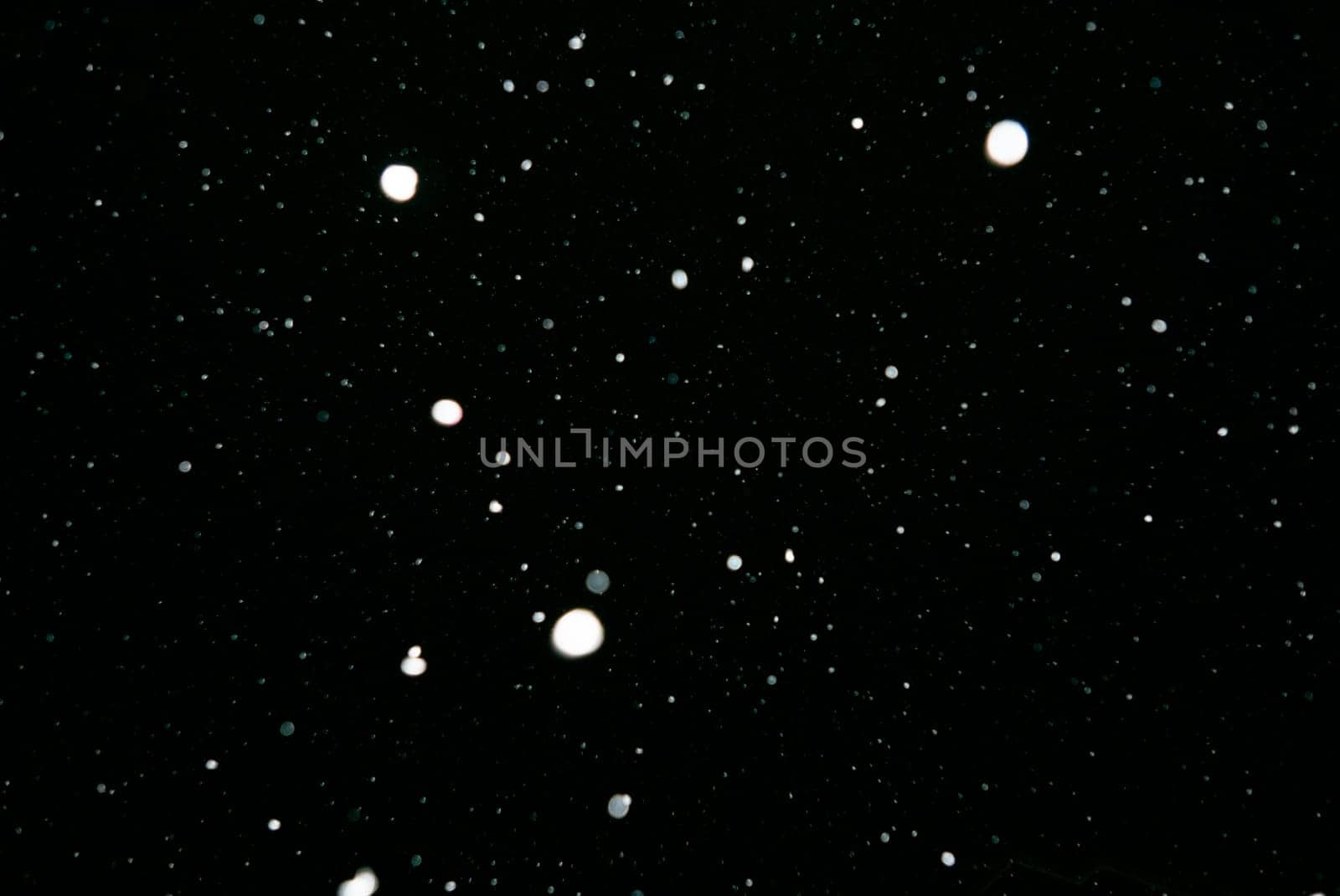 Falling Snow down On The Black Background by zartarn