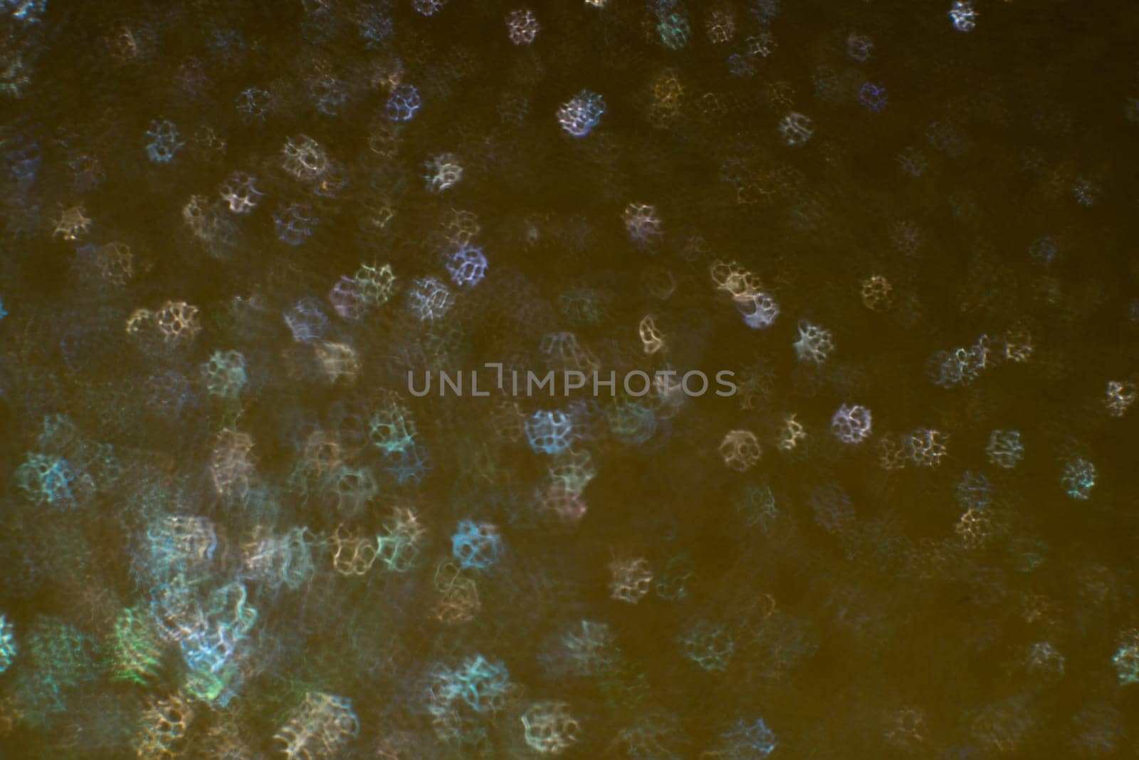 Christmas background. Festive abstract background with bokeh defocused lights and stars by zartarn