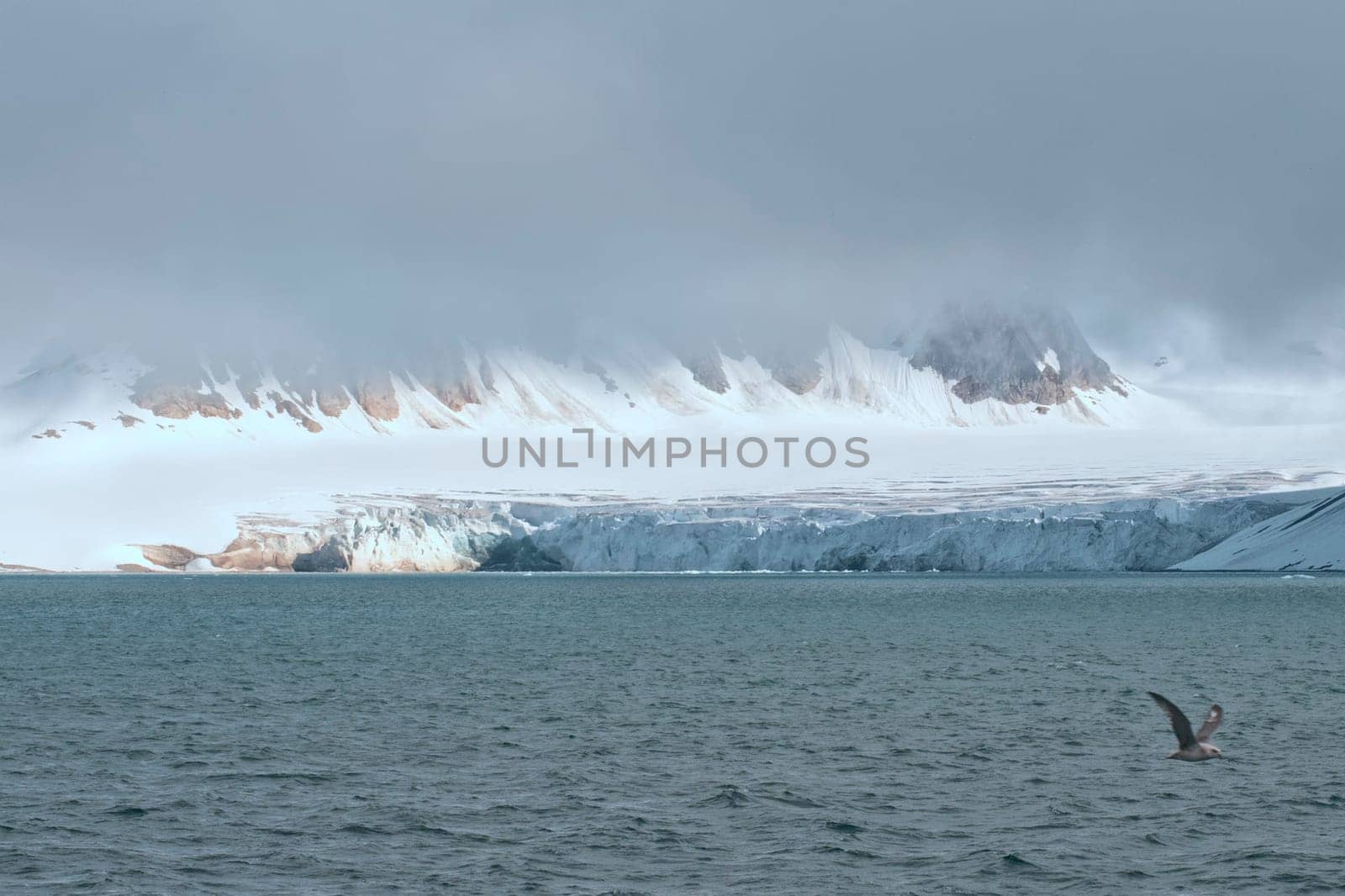 Svalbard Spitzbergen Glacier landscape by AndreaIzzotti