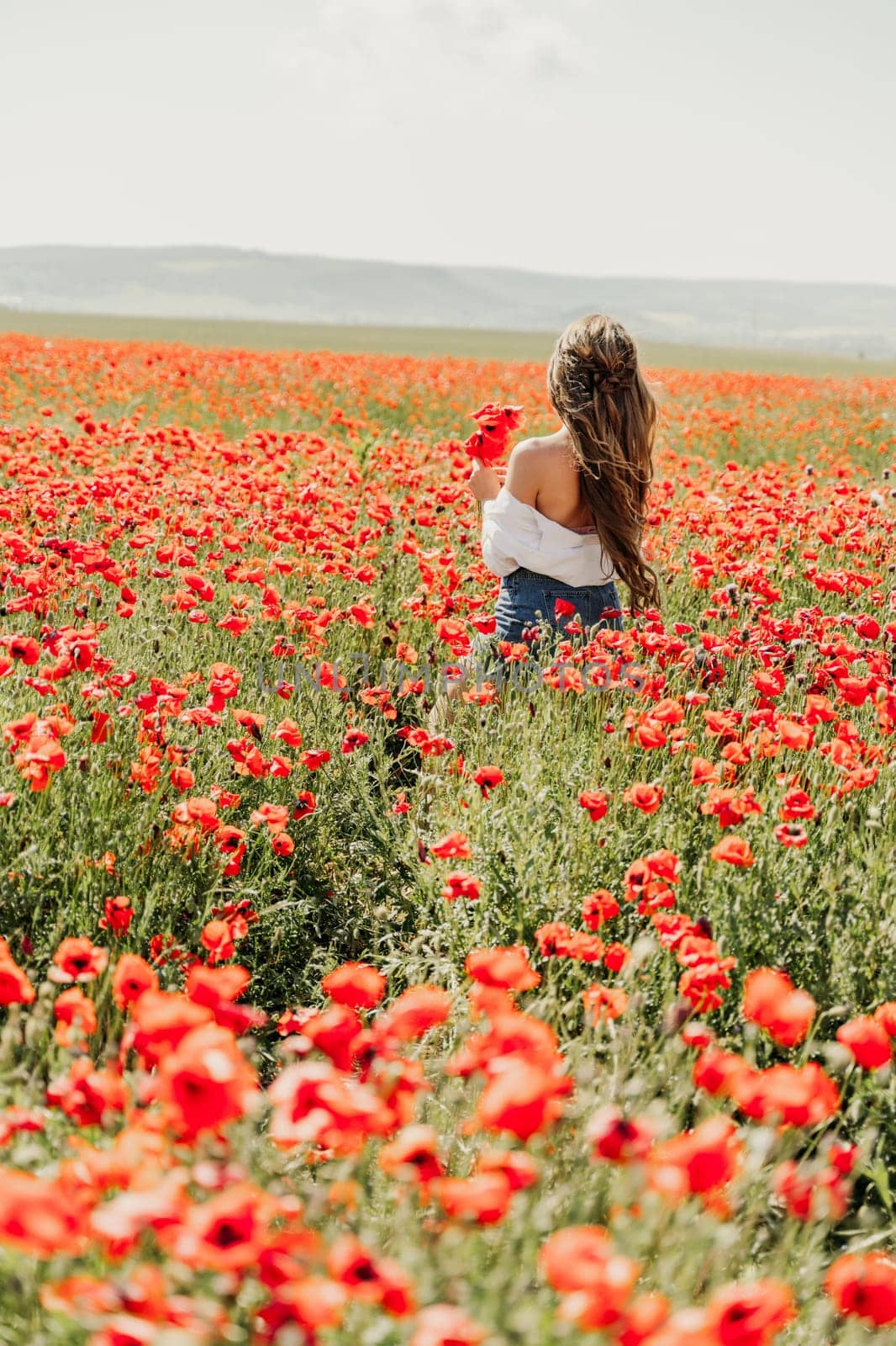 Woman poppies field. Back view of a happy woman with long hair in a poppy field and enjoying the beauty of nature in a warm summer day. by Matiunina