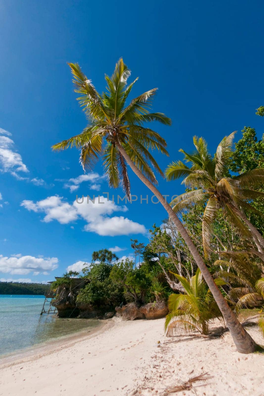 Tropical Paradise Polynesian lagoon Beach by AndreaIzzotti