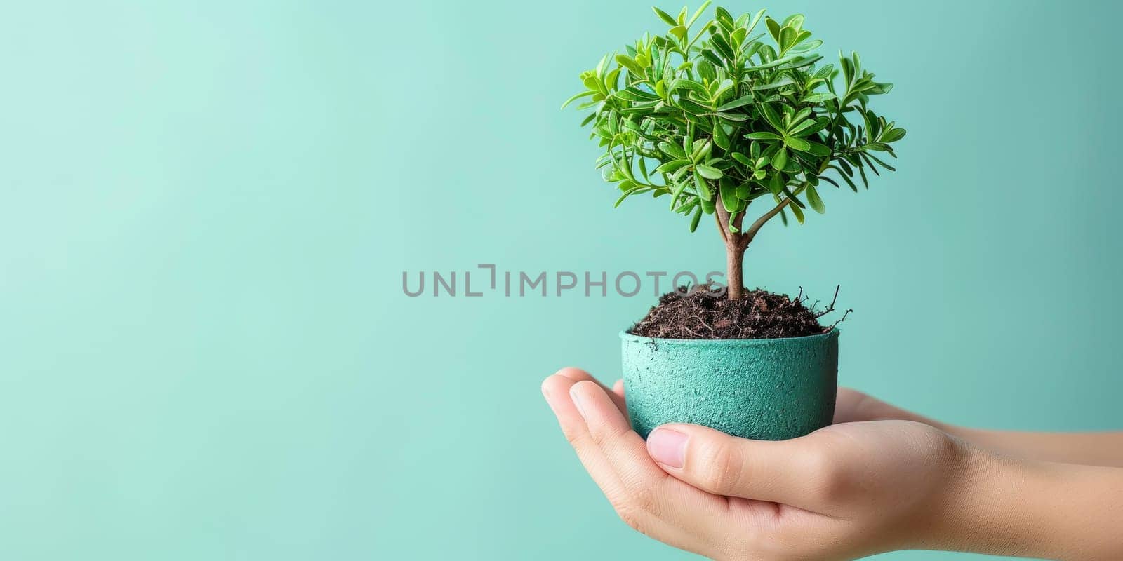 Hand holding small potted plant with vibrant green leaves. Concept of nature, growth, and eco friendly living.