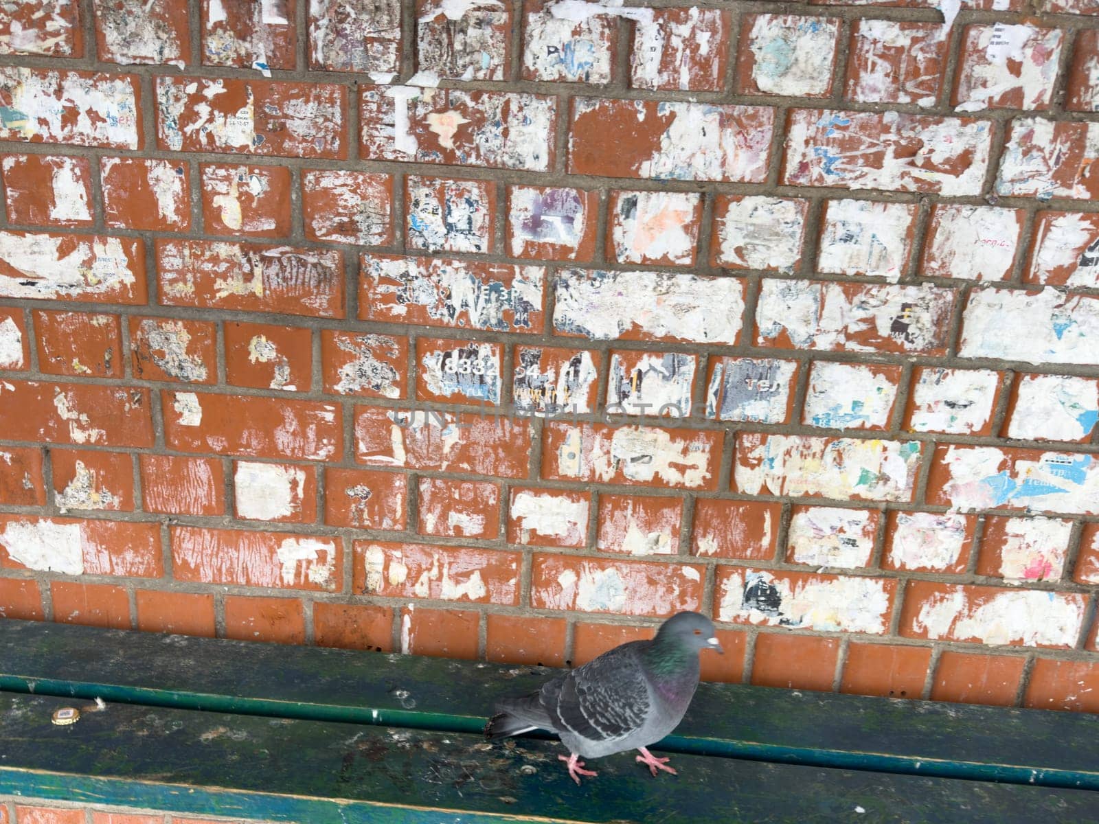 texture of an old red brick wall