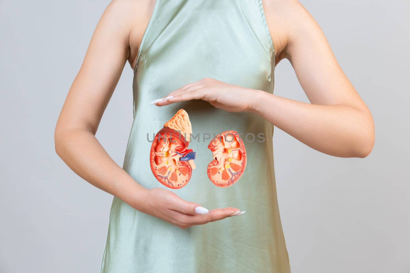 woman is holding mockup human kidney . Help and care concept. Help and care concept