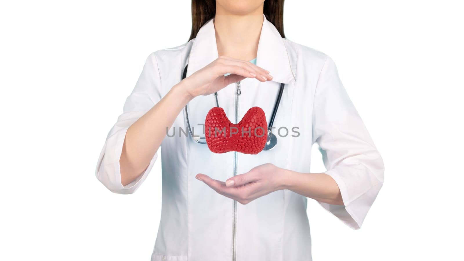 Female doctor holding virtual Thyroid Gland in hand.