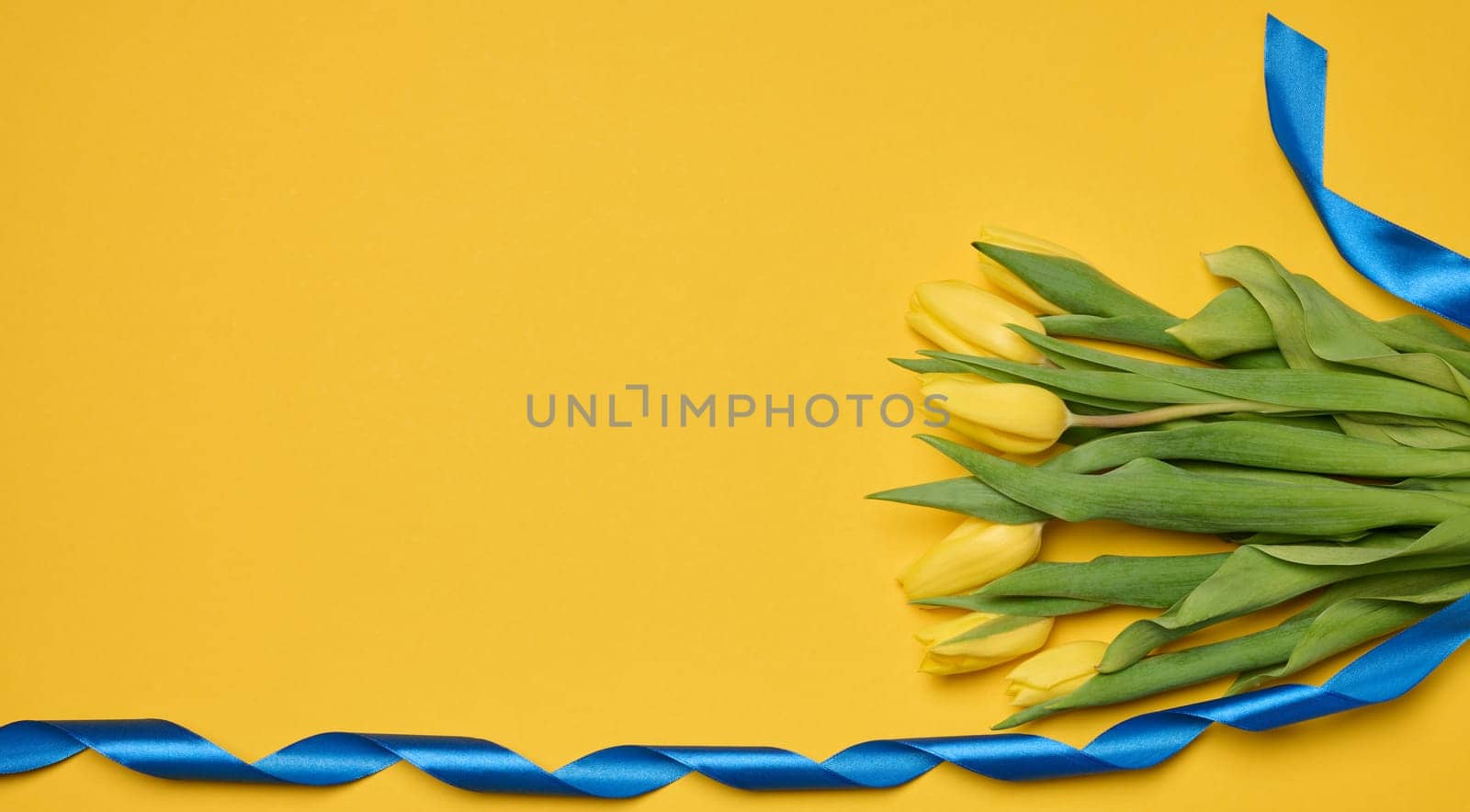 Bouquet of blooming yellow tulips with green leaves on a yellow background, copy space