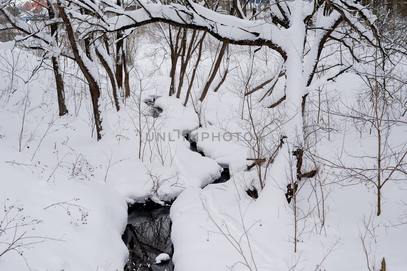 winter stream flowing between snowy trees