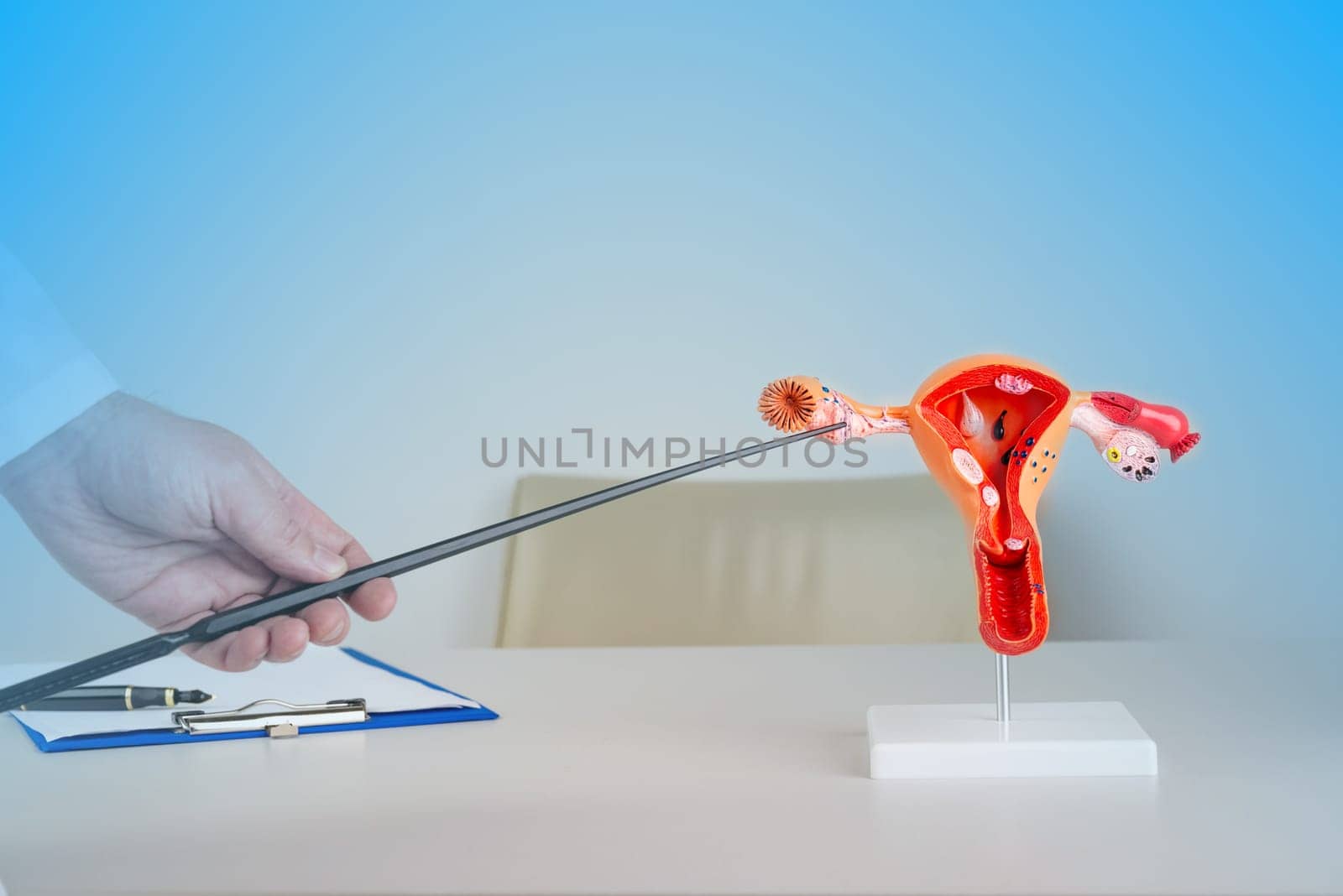 doctor gynecologist pointing model of female reproductive system on his desktop by zartarn