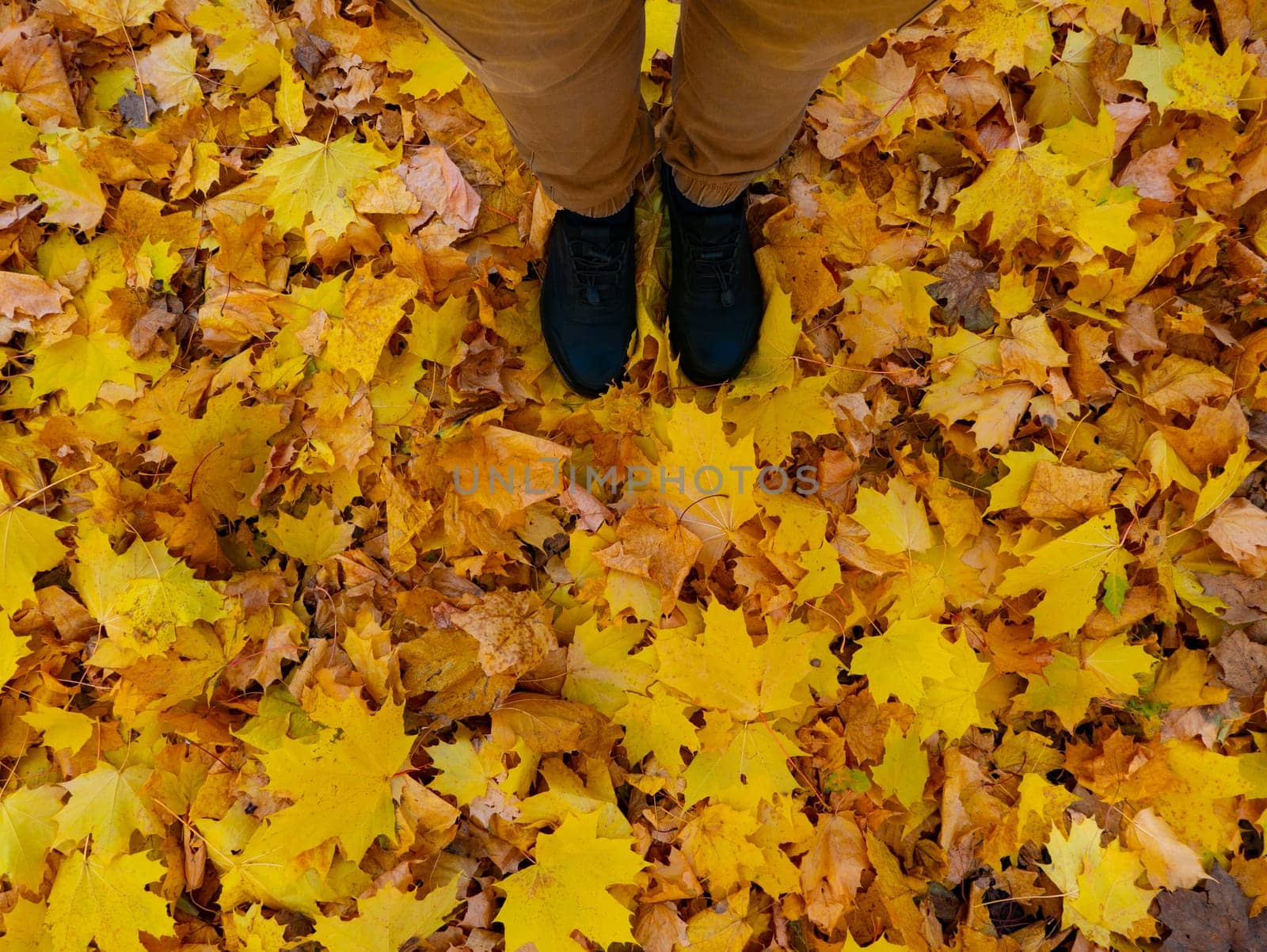 Top view of a man's shoes on a layer of yellow autumn leaves fallen from the trees, autumn photo of the change of season. by zartarn