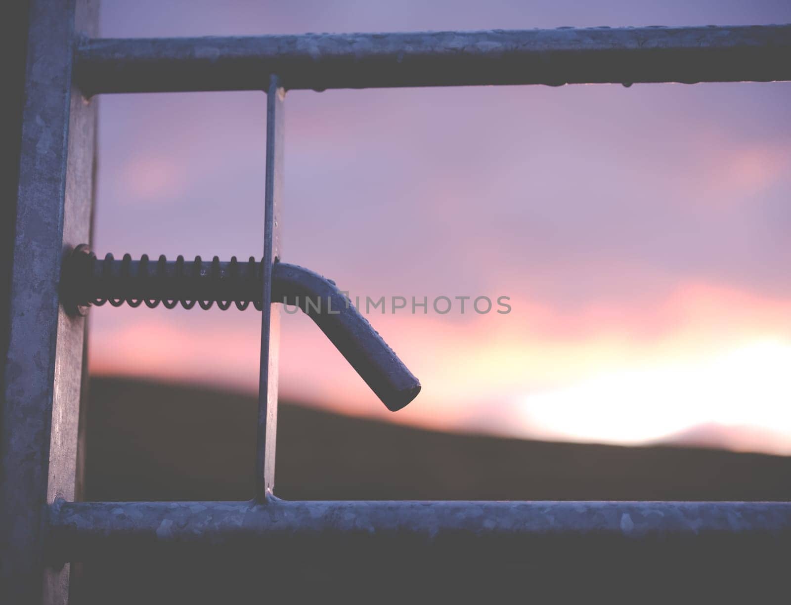 Droplets Of Water On A Gate After Rain In The Scottish Borders At Sunset, With Shallow Depth Of Focus