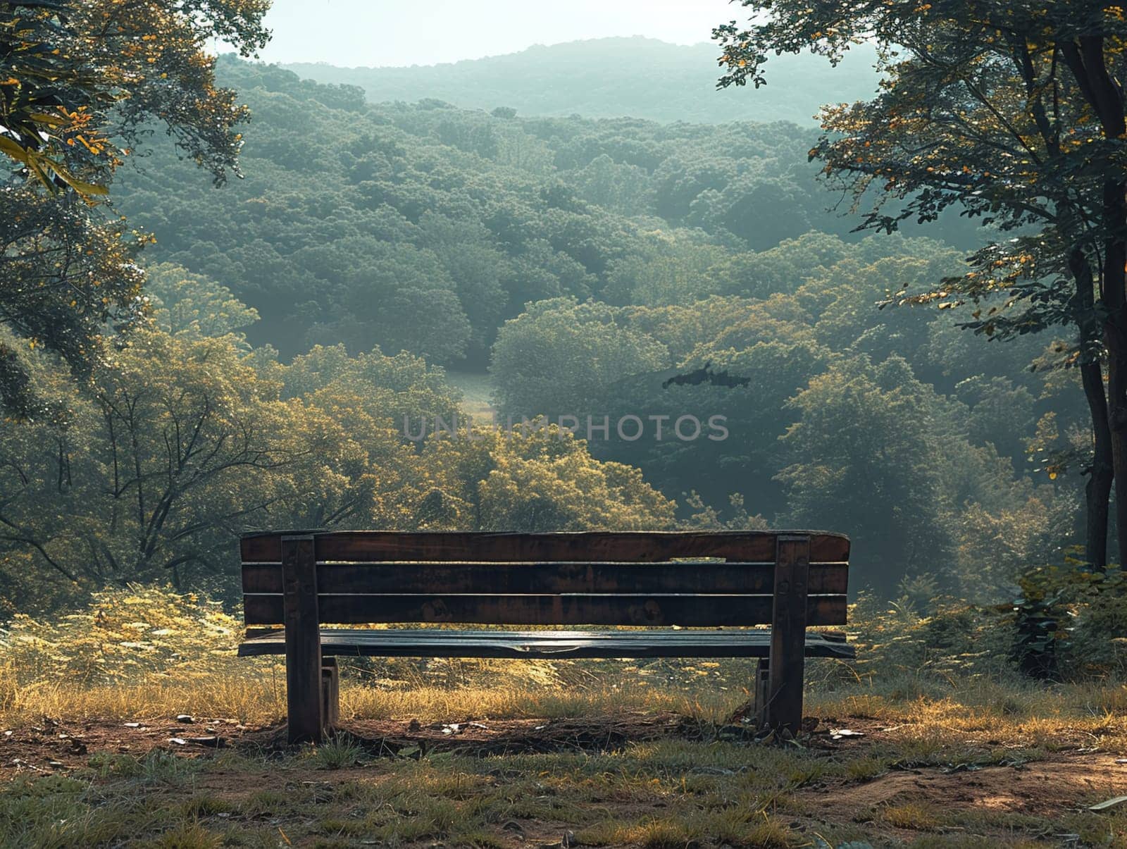 A solitary bench overlooking a scenic vista by Benzoix