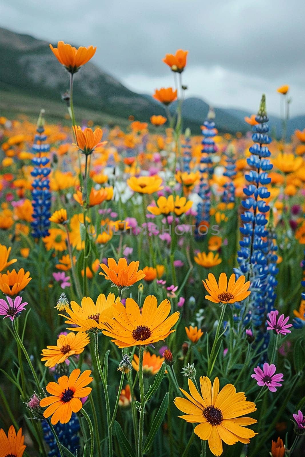 A field blanketed in wildflowers bursting with color by Benzoix