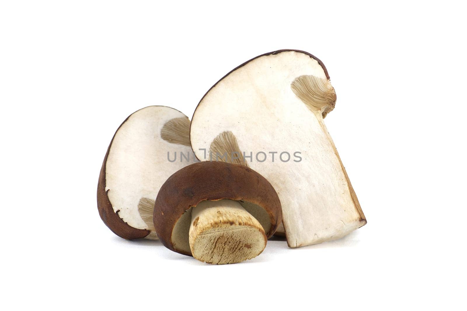 Pine bolete mushrooms over white background by NetPix