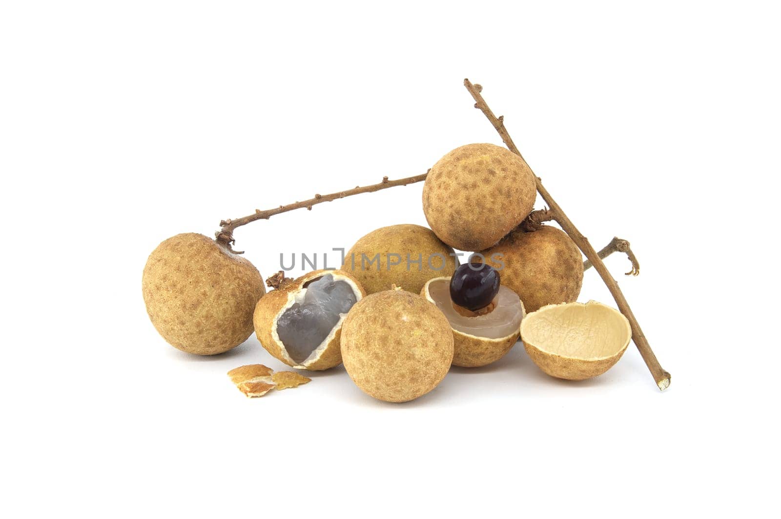 Longan fruits on branch isolated on white background by NetPix