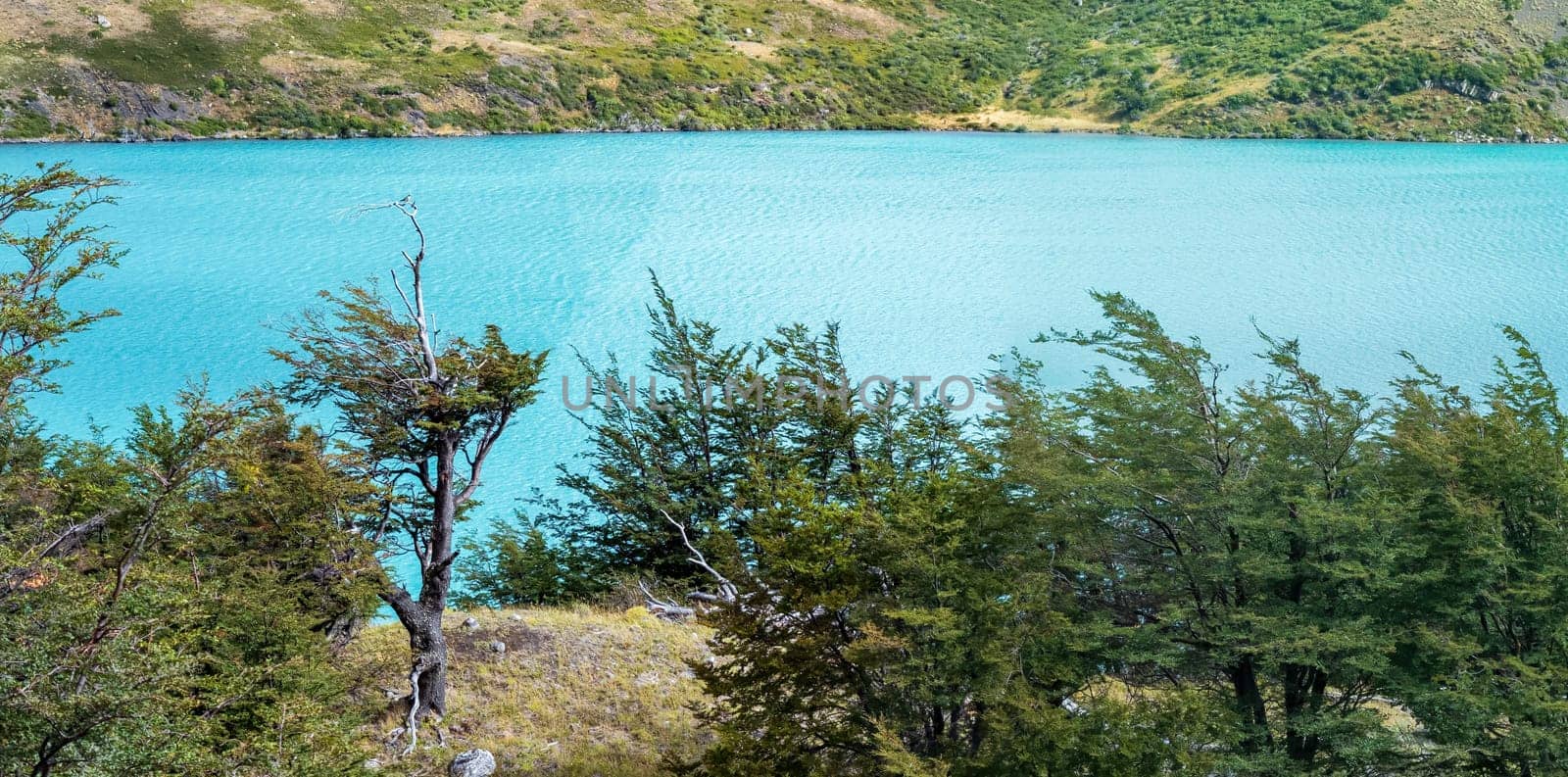 Serene landscape with a bright blue lake surrounded by lush greenery.