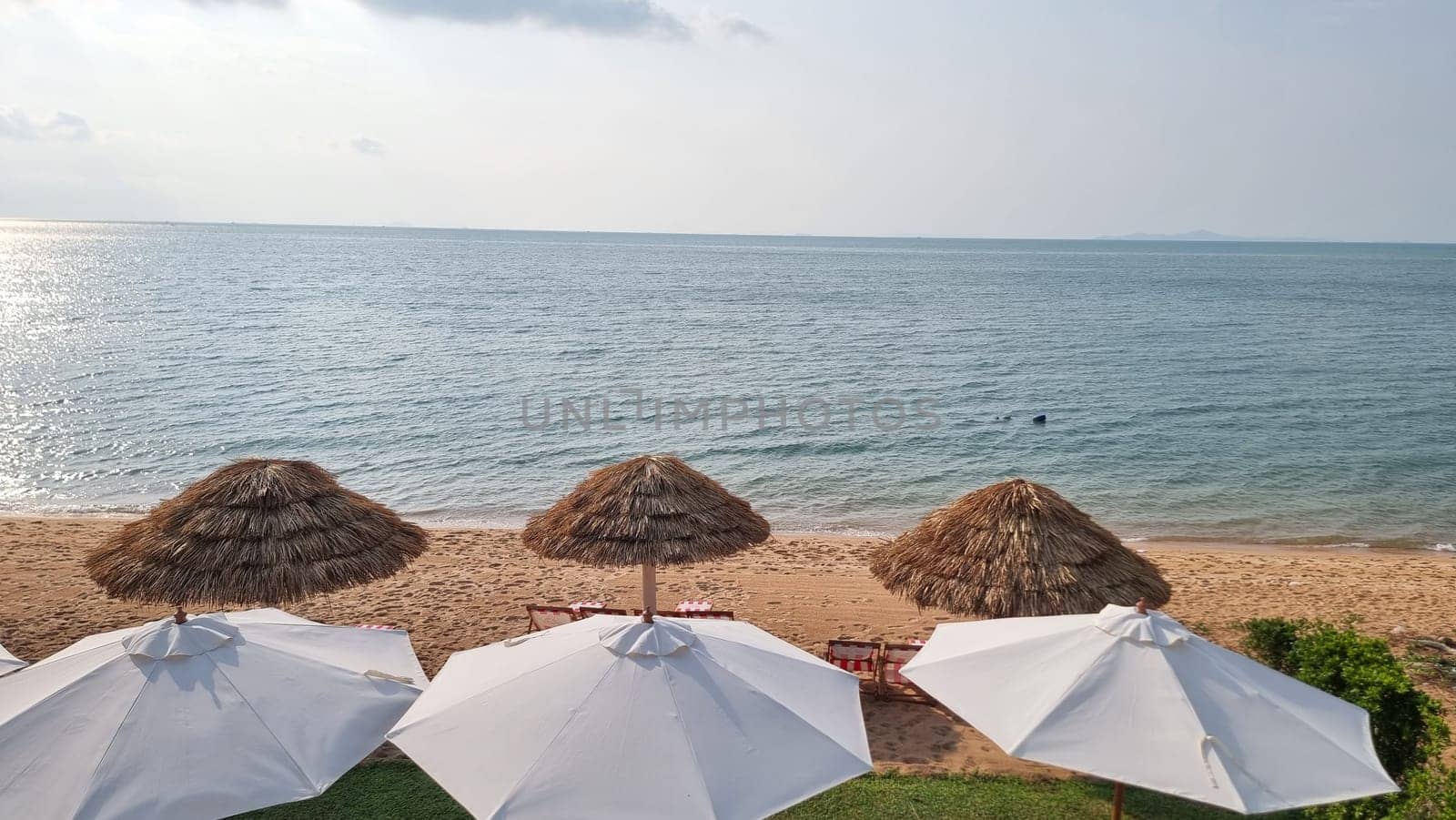 Bangsaray Pattaya Thailand 28 February 2024, A vibrant group of umbrellas stands tall on a sandy beach, creating a colorful and playful scene under the sun.